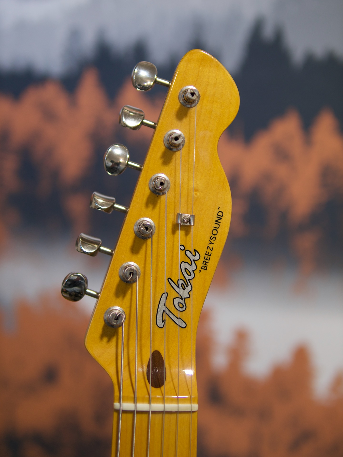 【美品】TOKAI トーカイ BREEZYSOUND ATE Tokai Breezysound | eBay
